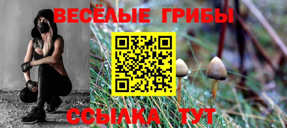 Галлюциногенные грибы ЛСД  Вход с VPN  Кохма 