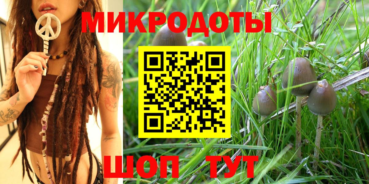 Галлюциногенные грибы MAGIC MUSHROOMS Кохма